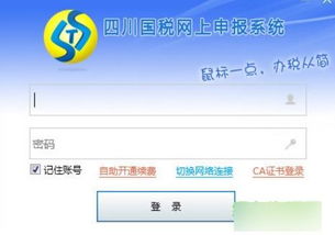 四川国税网上申报系统官方版下载 税务申报 v2017 最新版